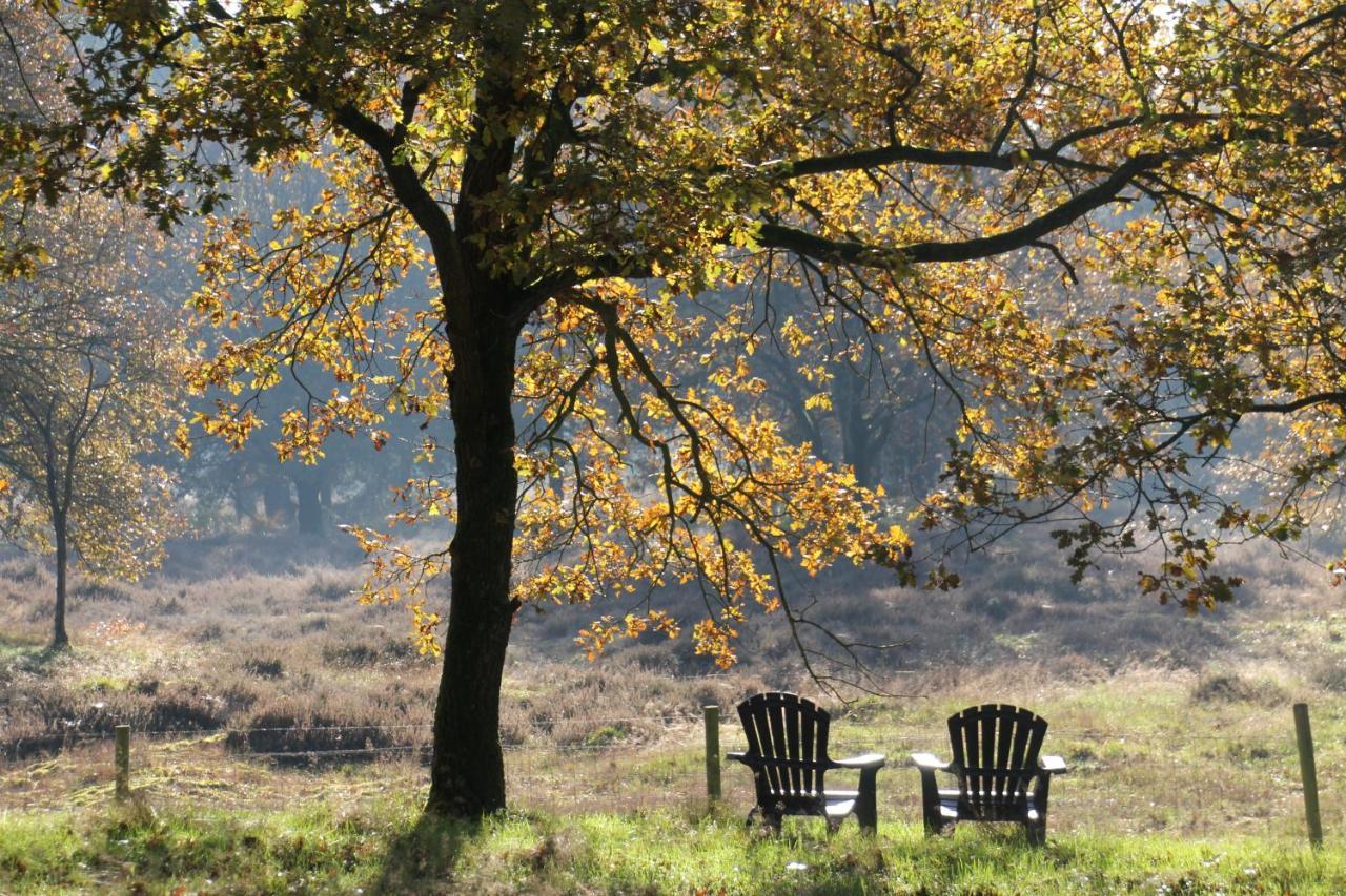 Inn The Woods - Private Stay Overberg Eksteriør billede